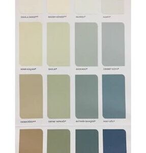 AC RENK PASTA-WV1 VIOLET 1 L