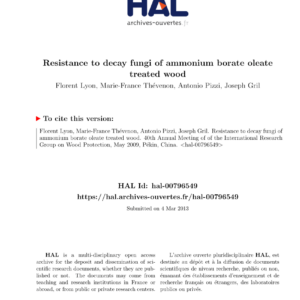 NUCLEUS DCB BEYAZ 2.5 LT