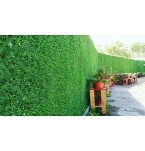 ÇİMLİ TEL 120 CM (12 M2)