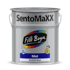 SENTOMAXX MAT SİYAH 2,5LT