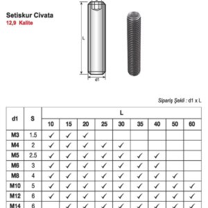 SETISKUR CİVATA M8X25