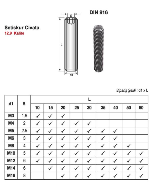 SETISKUR CİVATA M8X25