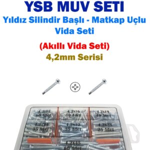 4.2*50 YSB MATKAPUÇLU VİDA