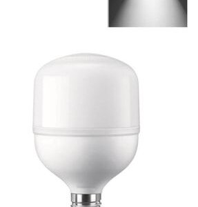 LED TORCH AMPUL JUMBO 36 W / 865 E27