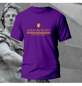 AC RENK PASTA-WV2 VIOLET 1 L