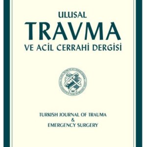 KANATLI ALÇIPAN NO:2 8.5*16.5